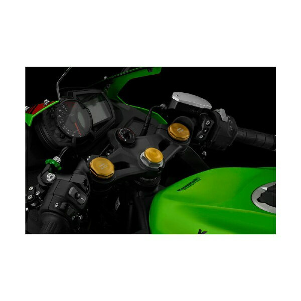 �Х���������BIKERS BIKERS ���ƥ७��å� �饤�ȥ������ ZX-25R 20-24 ZX-4R 23-24 �饤�ȥ������ K0464-LGD