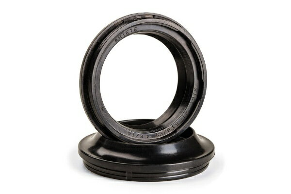 アリート｜ARIETE フォークダストシール Φ48 [48x61x6/15] MONSTER1200S　14-15 ARI165