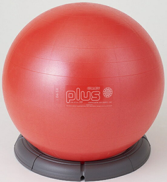 DANNO｜ダンノ ボールスタンドSTグレー D5389