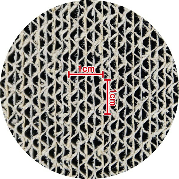 �ڥåȥץ�����ѥ��PetPro �ͤ������� �ͤ������ΤĤ�ߤ��� �ͤ��ؤ�1P