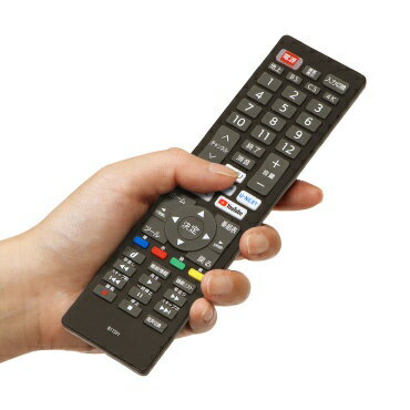 ORIGINAL BASIC｜オリジナルベーシック ネット動画ボタン搭載テレビリモコン シャープアクオス対応 OBAVR1TVB01SH [単4電池×2本(別売)]