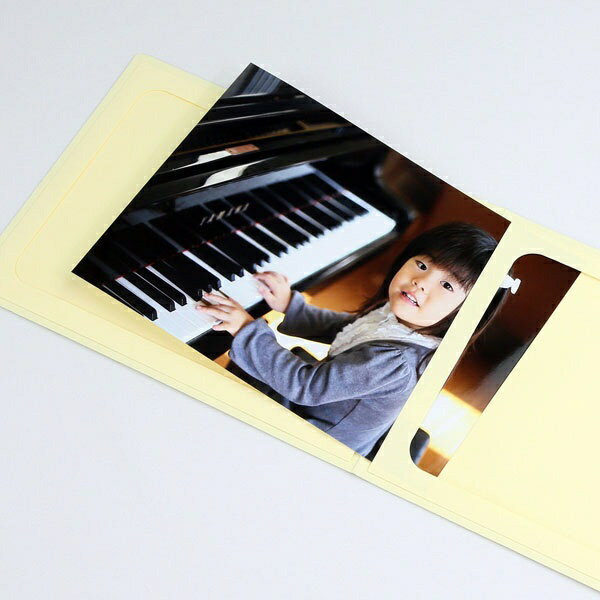 ���Ĳ��̿����� PHMC-2L2YCR �̿���� ���󥵡��� 2L 2�� ���꡼��