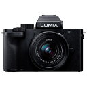 パナソニック｜Panasonic LUMIX G100D Kキット ミラーレス一眼カメラ ブラック DC-G100DK-K [ズームレンズ]