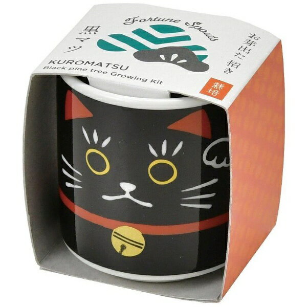 聖新陶芸｜SEISHIN 聖新 GD-91402 オメデタオチョコ 招き 黒 黒松