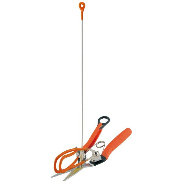 サボテン｜Saboten サボテン AG-21 アスパラ収穫鋏