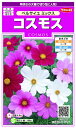 TJ^̃^lbSAKATA SEED CORPORATION  RXX xTC~bNX  905175