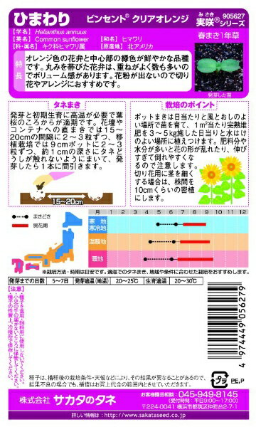 サカタのタネ｜SAKATA SEED CORPORATION 実咲 ひまわり ビンセント クリアオレンジ...