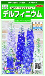 サカタのタネ｜SAKATA SEED CORPORATION 実咲 デルフィニウム パシフィックジャイアント 実咲 906560