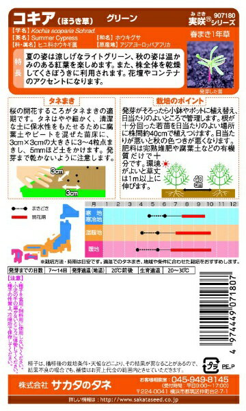 サカタのタネ｜SAKATA SEED CORPORATION 実咲 コキア （ほうき草）グリーン 実咲 9...