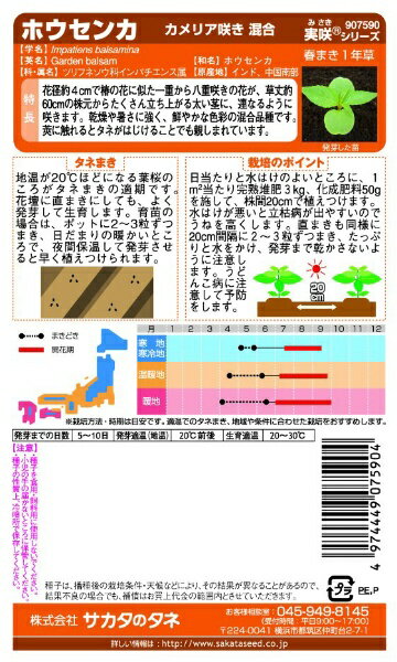 サカタのタネ｜SAKATA SEED CORPORATION 実咲 ホウセンカ カメリア咲き混合 実咲 9...