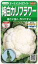 TJ^̃^lbSAKATA SEED CORPORATION  Jt[ I[igzCg  922405