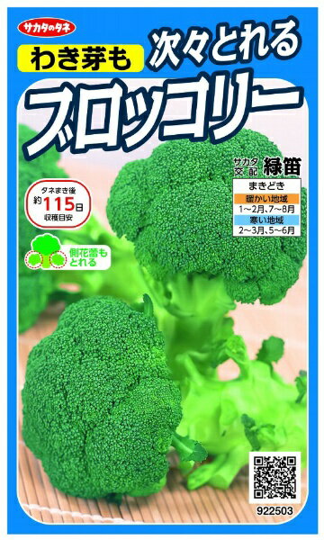 サカタのタネ｜SAKATA SEED CORPORATION 実咲 つぎつぎとれるブロッコリー 緑笛 実咲 922503