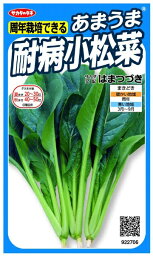 サカタのタネ｜SAKATA SEED CORPORATION 実咲 あまうま耐病小松菜 はまつづき 実咲 922706