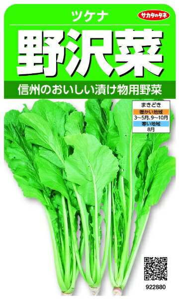 サカタのタネ｜SAKATA SEED CORPORATION 実咲 野沢菜 ツケナ 実咲 922880