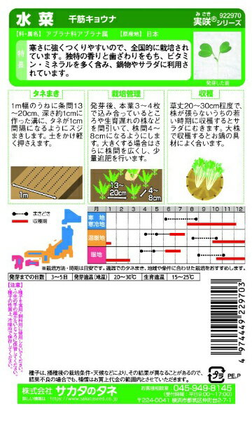 サカタのタネ｜SAKATA SEED CORPORATION 実咲 水菜 千筋キョウナ 実咲 922970