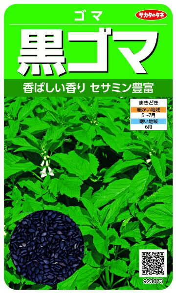 サカタのタネ｜SAKATA SEED CORPORATION 実咲 黒ゴマ 実咲 923073