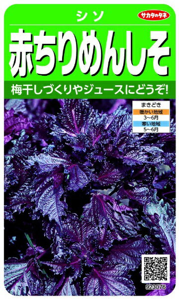 サカタのタネ｜SAKATA SEED CORPORATION 実咲 赤ちりめんしそ 実咲 923076