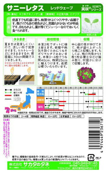 サカタのタネ｜SAKATA SEED CORPORATION 実咲 サニーレタス レッドウェーブ 実咲 9...