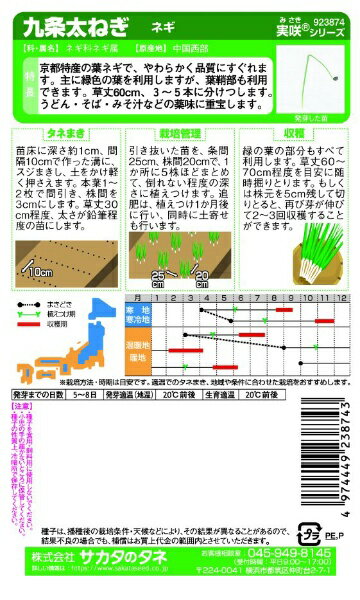 サカタのタネ｜SAKATA SEED CORPORATION 実咲 九条太ねぎ ネギ 実咲 923874