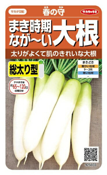 サカタのタネ｜SAKATA SEED CORPORATION 実咲 ダイコン まき時期ながーい大根 春の守 実咲 925033