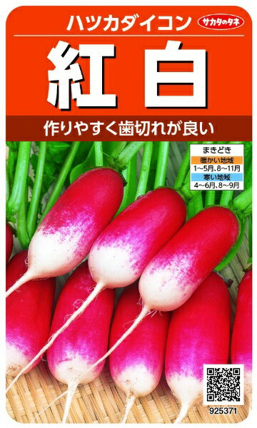 サカタのタネ｜SAKATA SEED CORPORATION 実咲 ハツカダイコン 紅白 実咲 925371