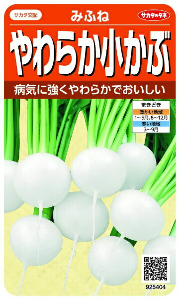 サカタのタネ｜SAKATA SEED CORPORATION 実咲 やわらか小かぶ みふね 実咲 925404