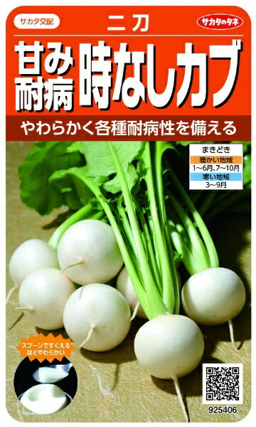 サカタのタネ｜SAKATA SEED CORPORATION 実咲 甘み耐病時なしカブ 二刀 実咲 925406