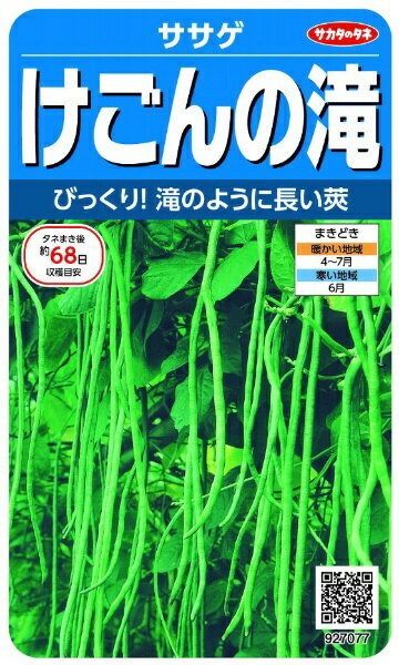 サカタのタネ｜SAKATA SEED CORPORATION 実咲 ささげ けごんの滝 実咲 927077