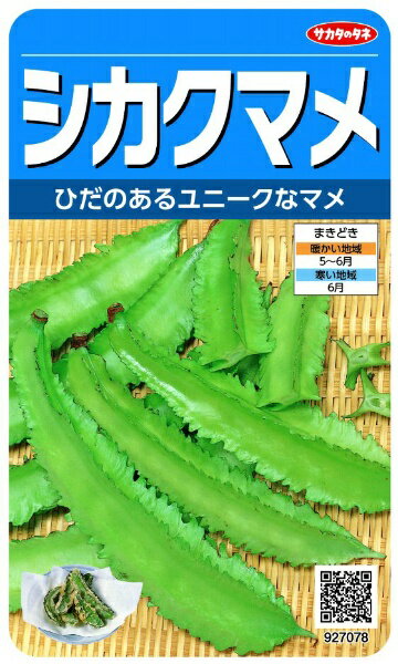 サカタのタネ｜SAKATA SEED CORPORATION 実咲 シカクマメ 実咲 927078