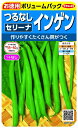 TJ^̃^lbSAKATA SEED CORPORATION  ȂCQZ[i ypz  927160