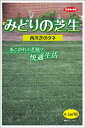 サカタのタネ｜SAKATA SEED CORPORATION 実咲 みどりの芝生 0.5平方メートル用（袋） 実咲 155160