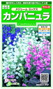 TJ^̃^lbSAKATA SEED CORPORATION  Jpj W[~bNX  906220