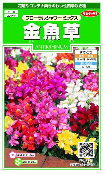 サカタのタネ｜SAKATA SEED CORPORATION 実咲 金魚草 フローラルシャワーミックス 実咲 906251