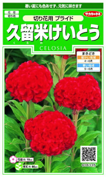 サカタのタネ｜SAKATA SEED CORPORATION 実咲 久留米けいとう 切り花用プライド 実咲 906335