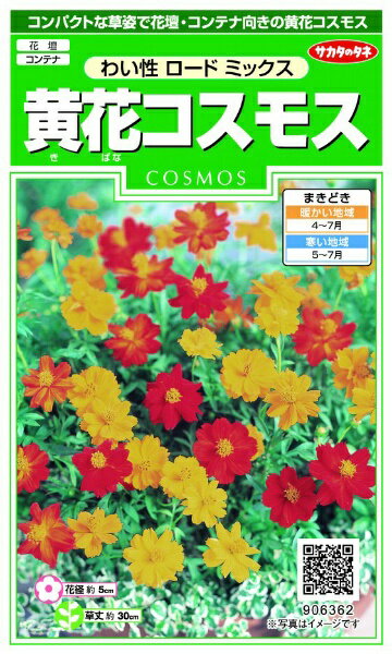 サカタのタネ｜SAKATA SEED CORPORATION 実咲 黄花コスモス わい性ロードミックス 実咲 906362