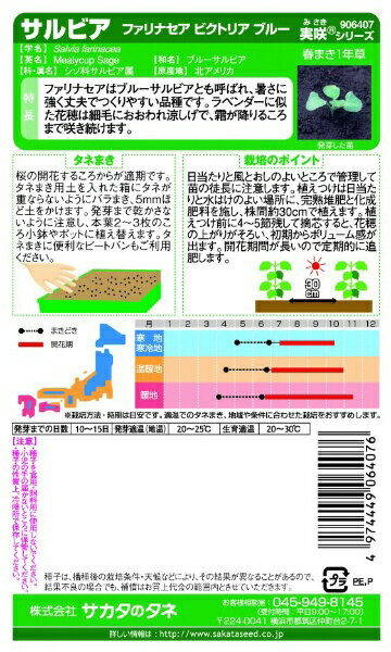 サカタのタネ｜SAKATA SEED CORPORATION 実咲 サルビア ファリナセア ビクトリアブ...