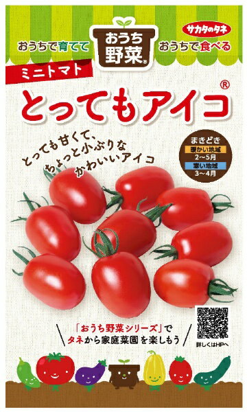 サカタのタネ｜SAKATA SEED CORPORATION 実咲 おうち野菜 ミニトマト とってもアイコ 実咲 920190