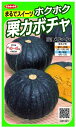 TJ^̃^lbSAKATA SEED CORPORATION  zNzNIJ{` w  921001