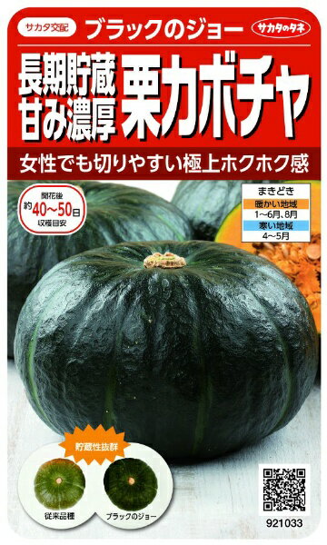 サカタのタネ｜SAKATA SEED CORPORATION 実咲 長期貯蔵甘み濃厚栗カボチャ ブラックのジョー 実咲 921033