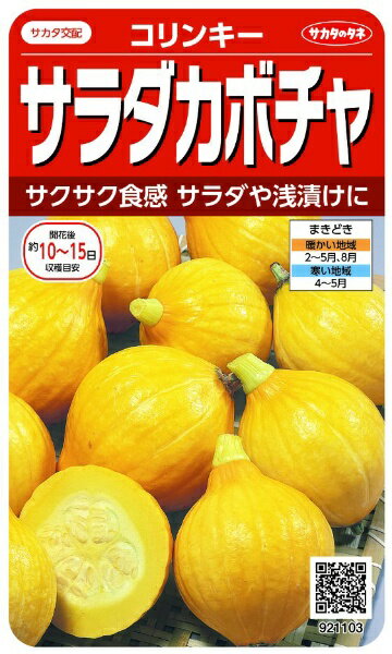 サカタのタネ｜SAKATA SEED CORPORATION 実咲 サラダカボチャ コリンキー 実咲 921103