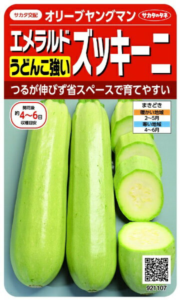 サカタのタネ｜SAKATA SEED CORPORATION 実咲 うどんこ強いエメラルドズッキーニ オリーブヤングマン 実咲 921107 1