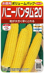 サカタのタネ｜SAKATA SEED CORPORATION 実咲 トウモロコシ ハニーバンタム20【徳用】 実咲 921294