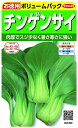 TJ^̃^lbSAKATA SEED CORPORATION  `QTCypz  923390