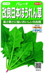 サカタのタネ｜SAKATA SEED CORPORATION 実咲 改良日本ほうれん草 実咲