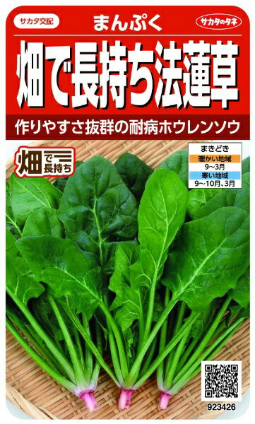 サカタのタネ｜SAKATA SEED CORPORATION 実咲 畑で長持ち法蓮草 まんぷく 実咲 923426