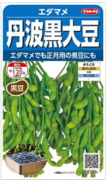 サカタのタネ｜SAKATA SEED CORPORATION 実咲 エダマメ 丹波黒大豆 実咲 927400