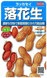 サカタのタネ｜SAKATA SEED CORPORATION 実咲 落花生 実咲 927570