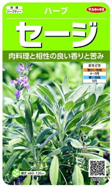 サカタのタネ｜SAKATA SEED CORPORATION 実咲 ハーブ セージ 実咲 928075