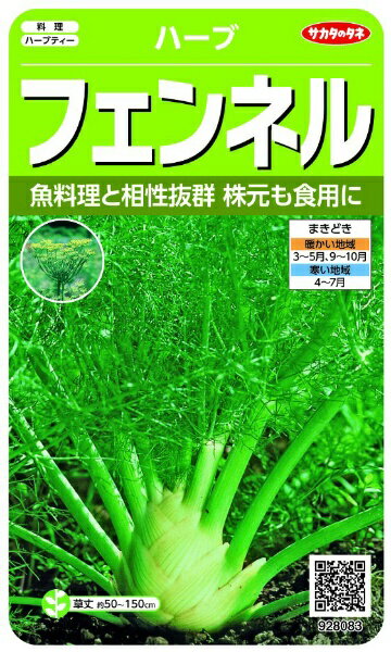 サカタのタネ｜SAKATA SEED CORPORATION 実咲 ハーブ フェンネル 実咲 928083