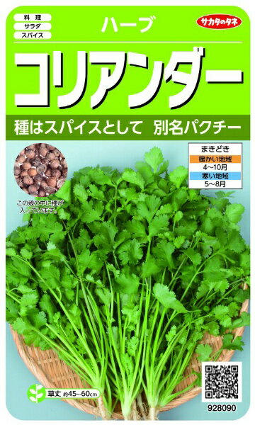 サカタのタネ｜SAKATA SEED CORPORATION 実咲 ハーブ コリアンダー（パクチー） 実咲 928090